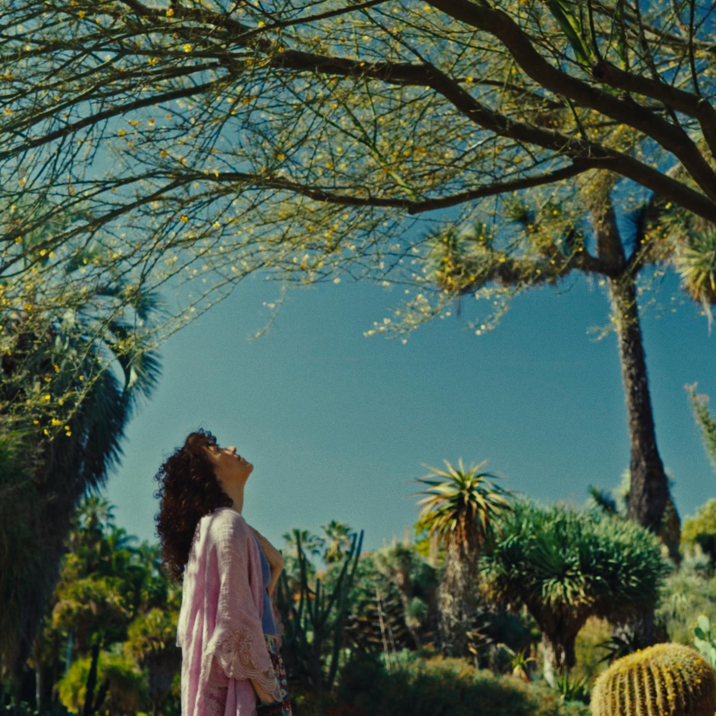 Field study in the botanical garden