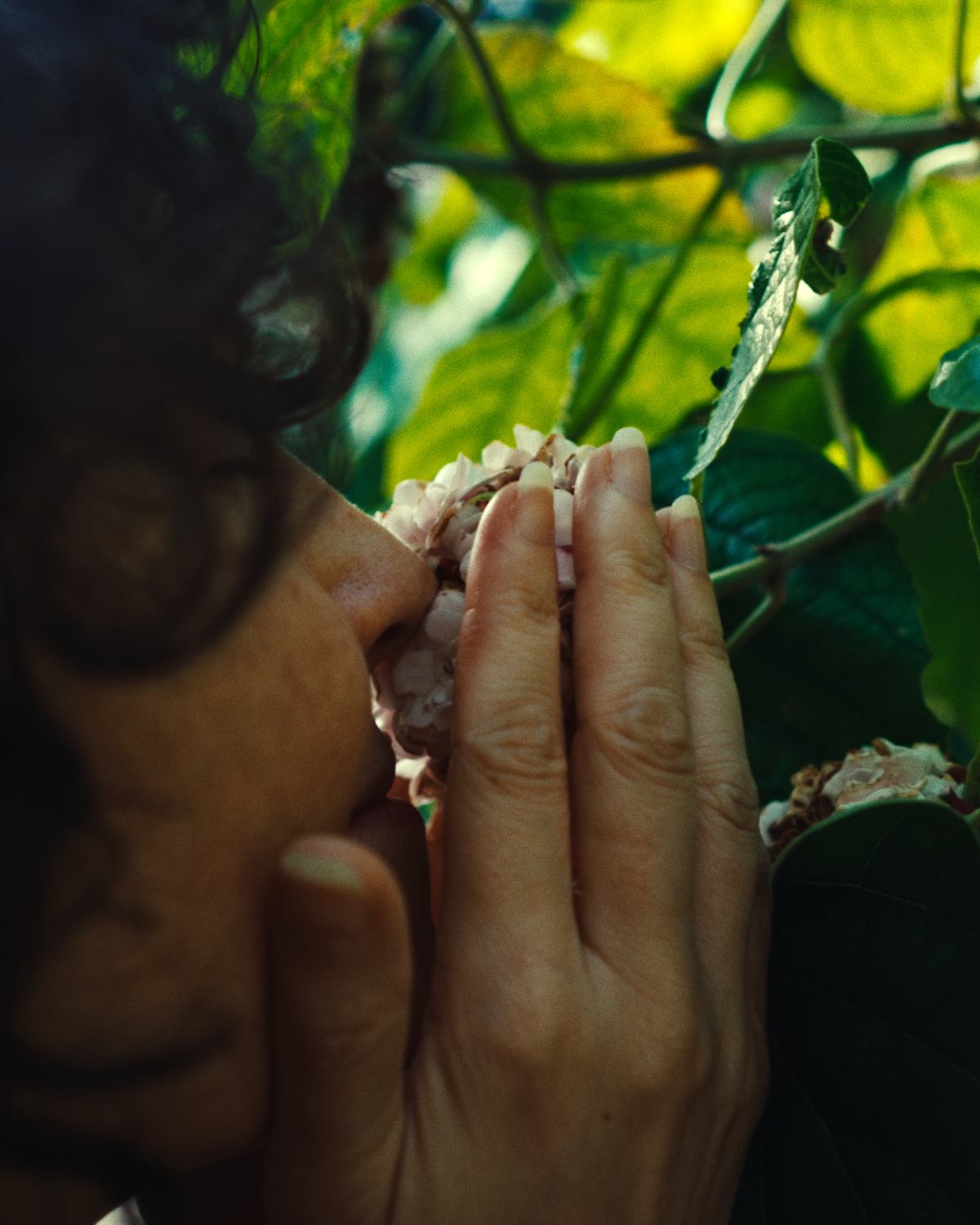 Breathing a living bloom in the field